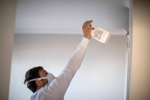 Best Attic Mold Removal  in Oaklawn Sunview, KS