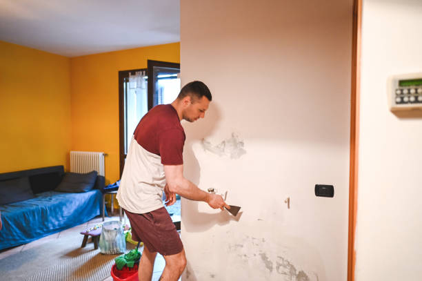 Professional Mold Removal in Oaklawn Sunview, KS