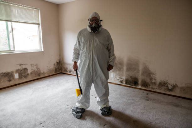 Mold Removal and Inspection in Oaklawn Sunview, KS