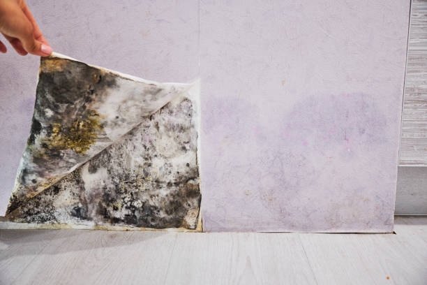 Water Damage Restoration in Oaklawn Sunview, KS